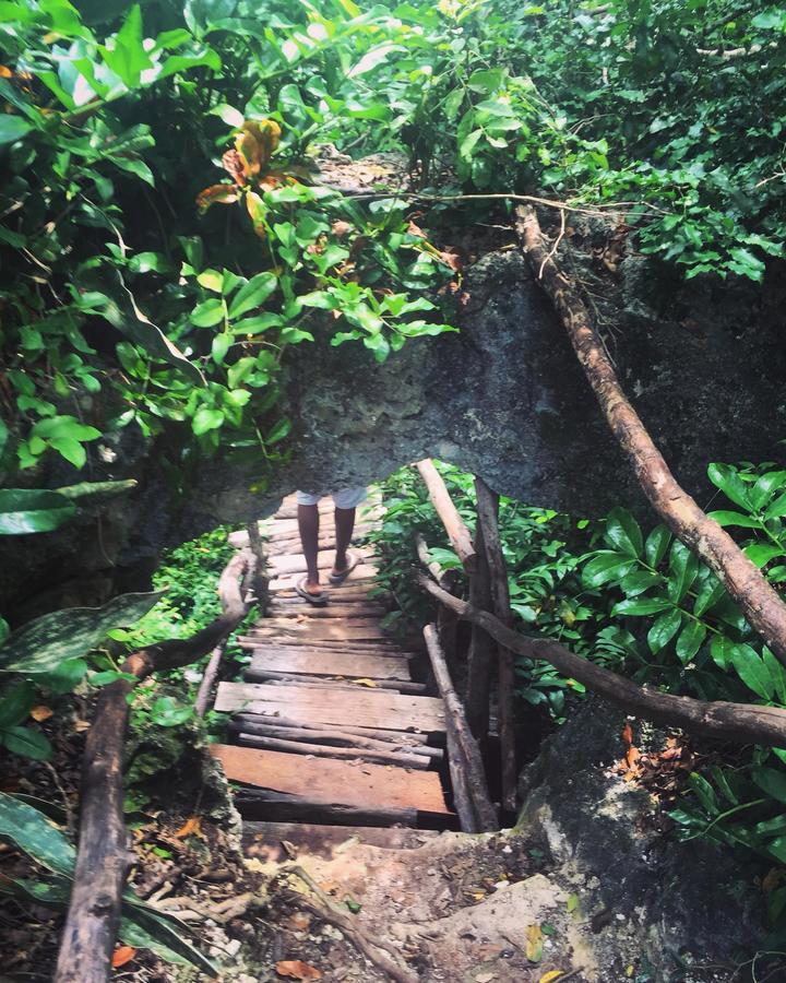 Forest Trail