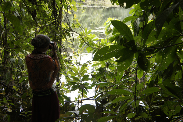 Ngezi Forest Trail