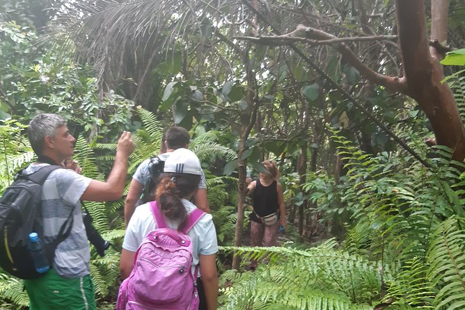 GUIDED TOURS