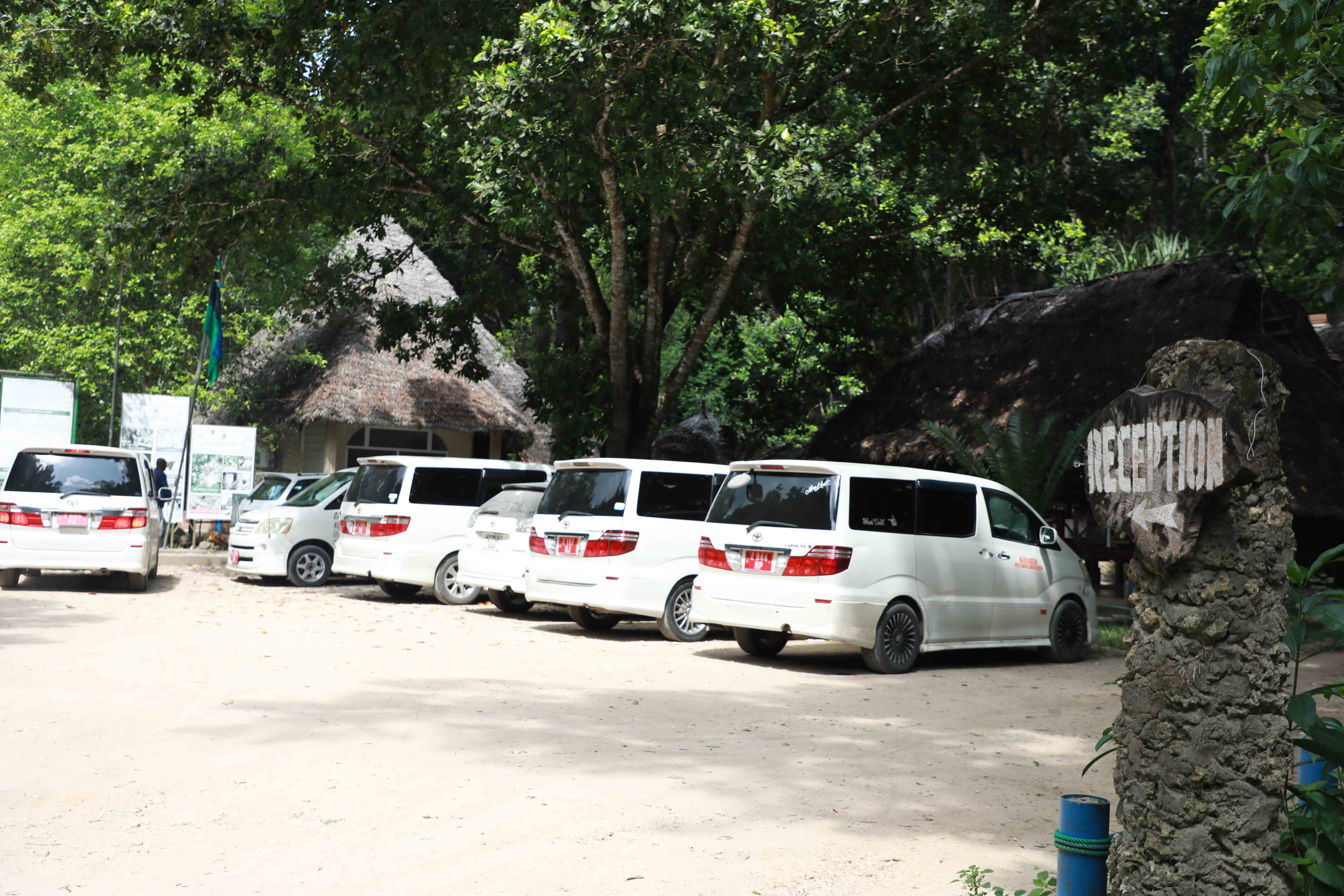 Visitor Parking Area at Jozani Chwaka Bay National Park